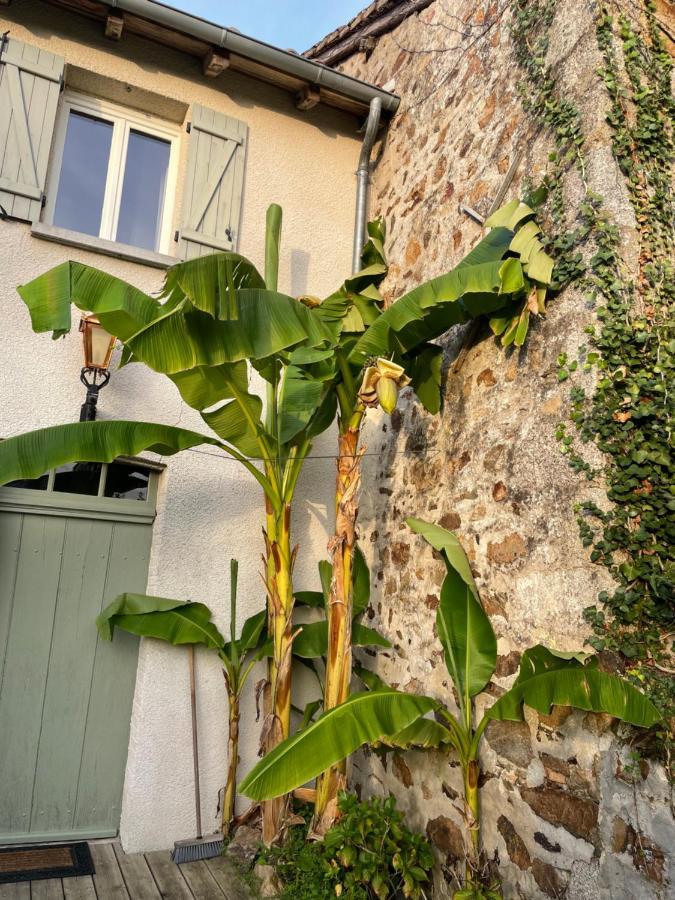 Maison Hirondelles Gites Mezieres-sur-Issoire Bagian luar foto